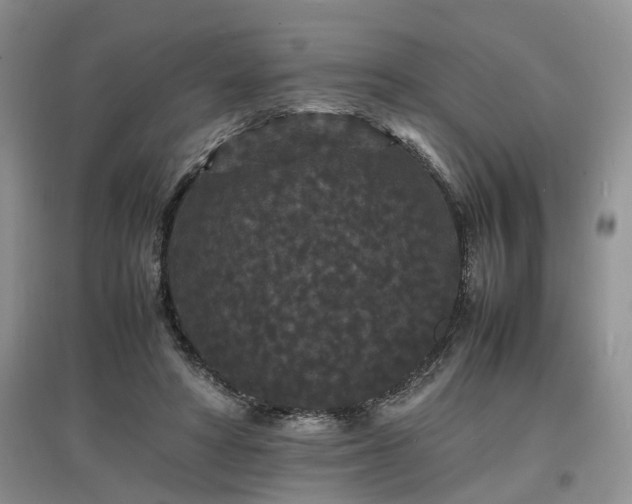 X0000097620402200803071514