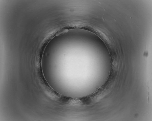 X0000097620403200803071514