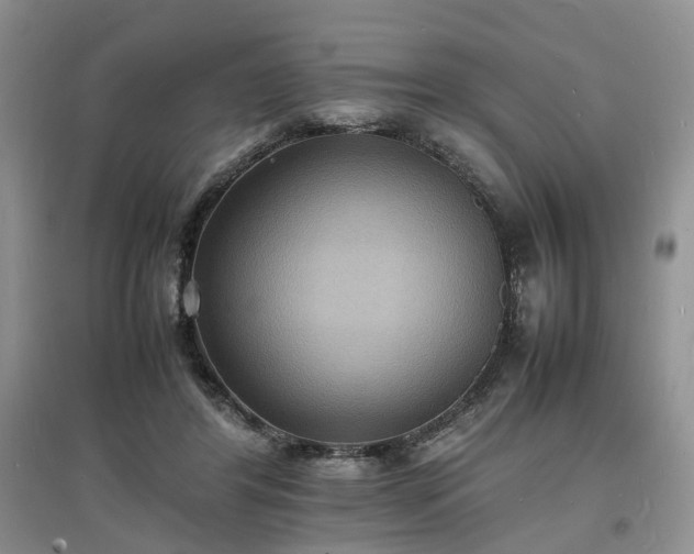 X0000097620404200803071514