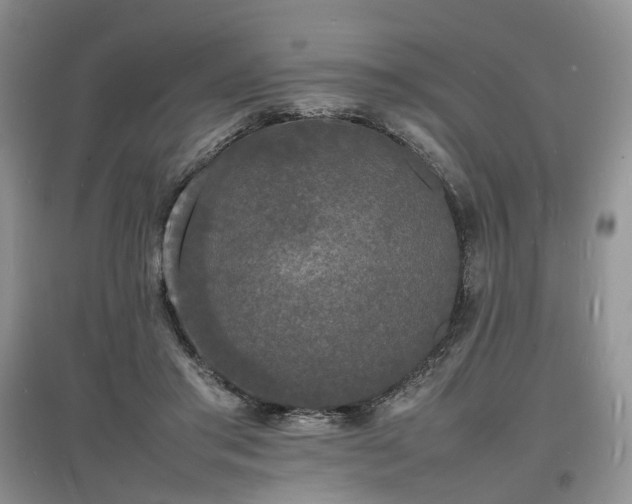 X0000097620405200803071514
