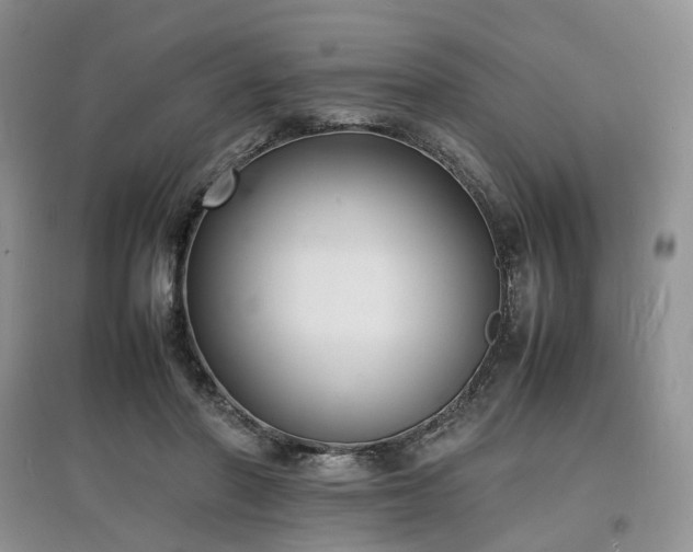 X0000097620406200803071514