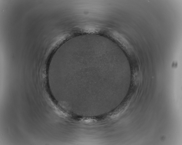 X0000097620407200803071514