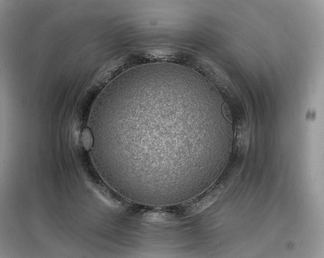 X0000097620408200803071514