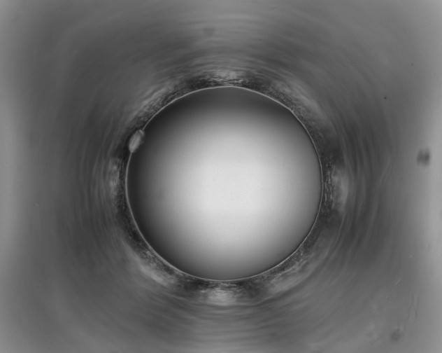 X0000097620412200803071514