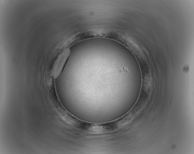 X0000097620413200803071514
