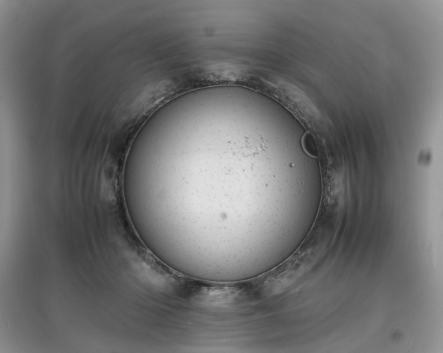 X0000097620414200803071514