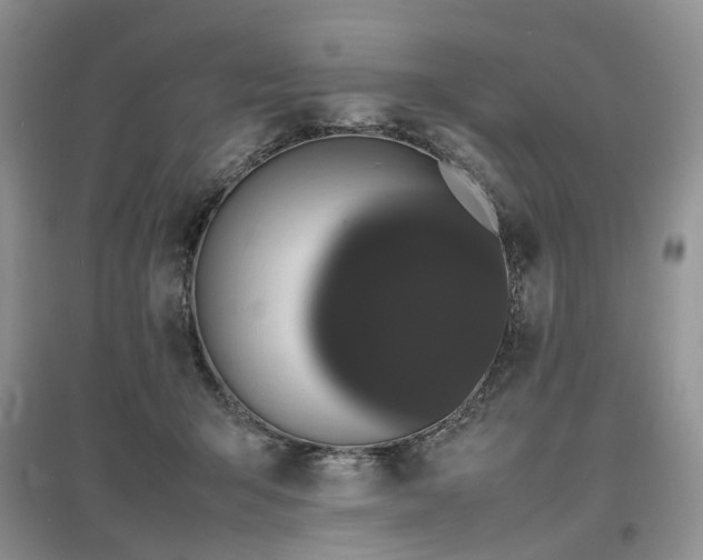 X0000097620415200803071514