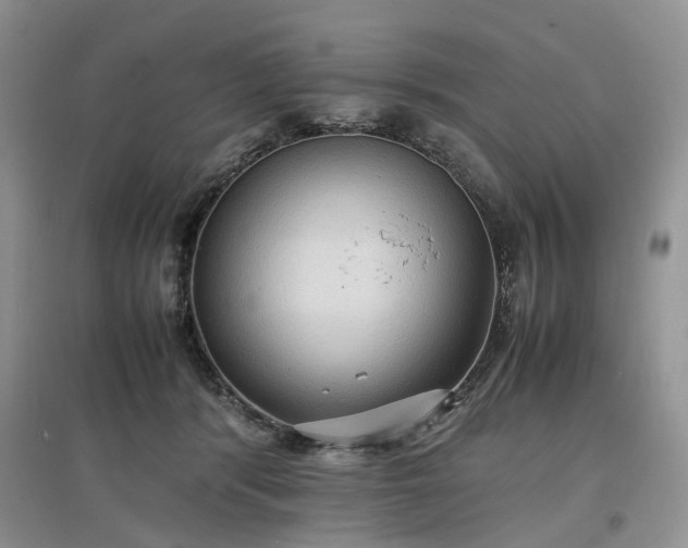 X0000097620416200803071514