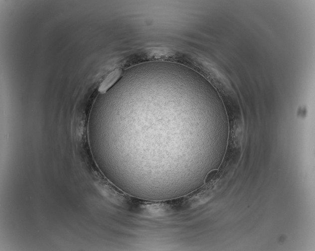 X0000097620417200803071514