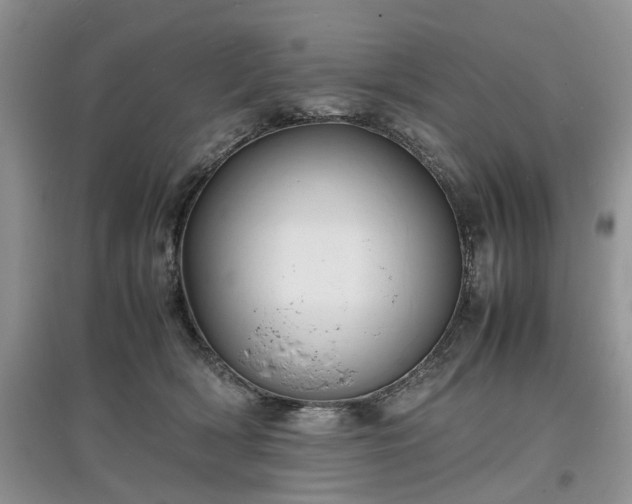 X0000097620418200803071514