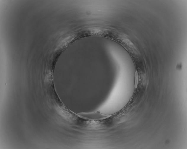 X0000097620419200803071514