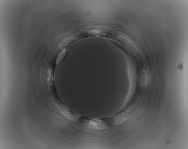 X0000097620420200803071514