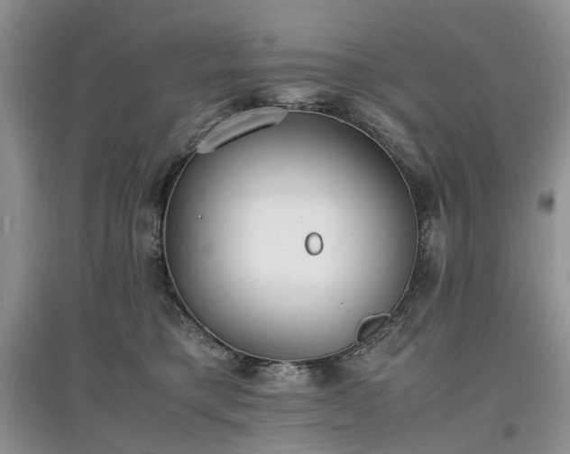 X0000097620421200803071514