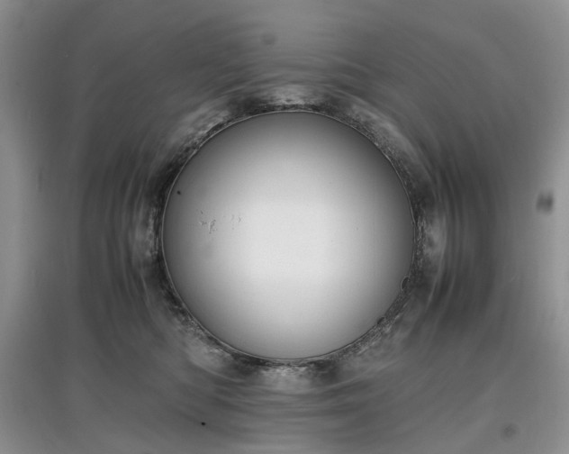 X0000097620422200803071514