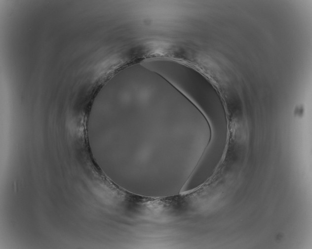 X0000097620423200803071514