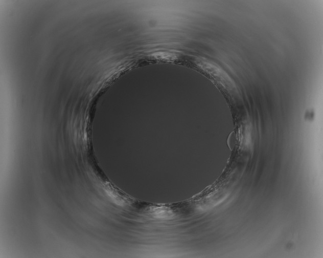 X0000097620424200803071514