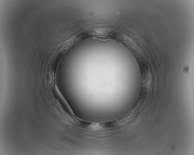 X0000097620425200803071514
