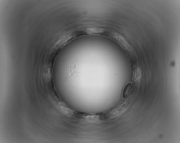 X0000097620426200803071514