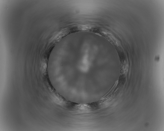 X0000097620427200803071514