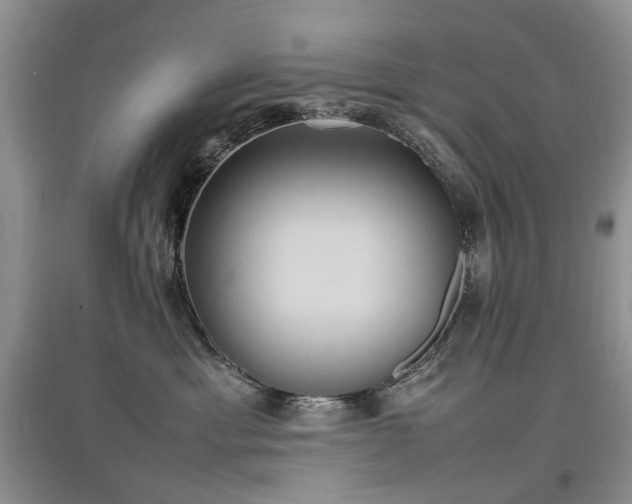 X0000097620429200803071514