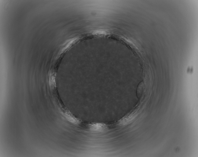 X0000097620432200803071514