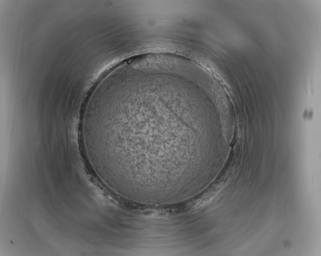 X0000097620434200803071513