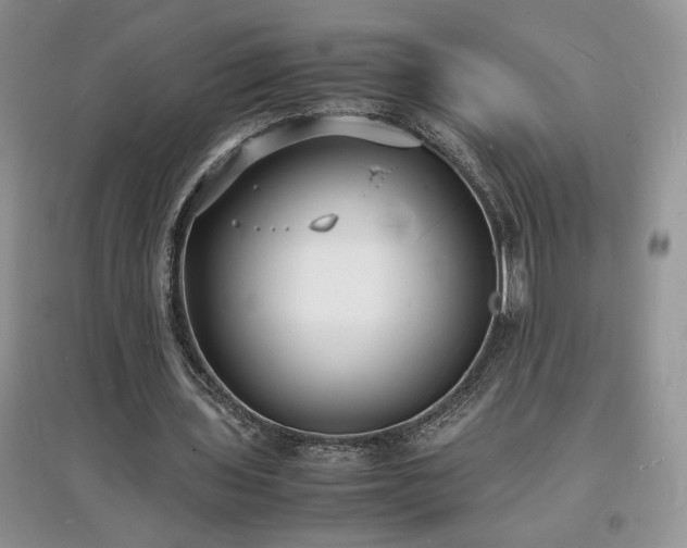 X0000097620435200803071513