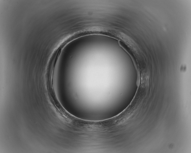 X0000097620436200803071513
