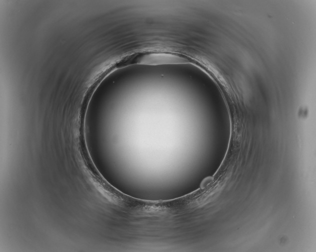 X0000097620437200803071513