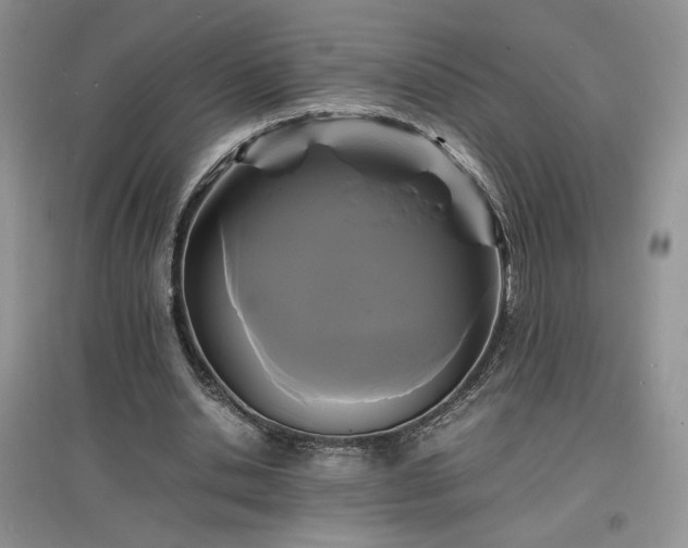 X0000097620438200803071513