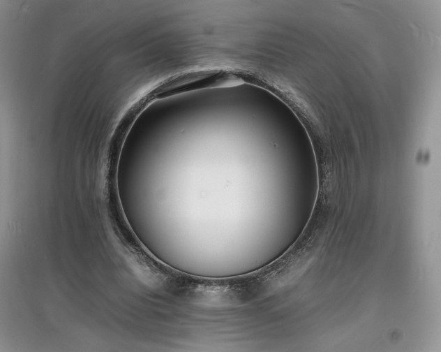 X0000097620440200803071513