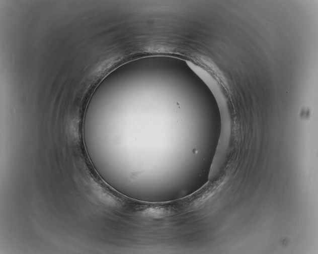 X0000097620441200803071513