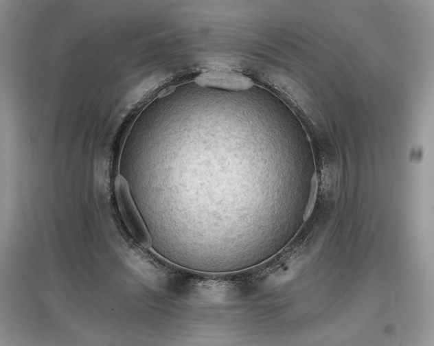 X0000097620444200803071513