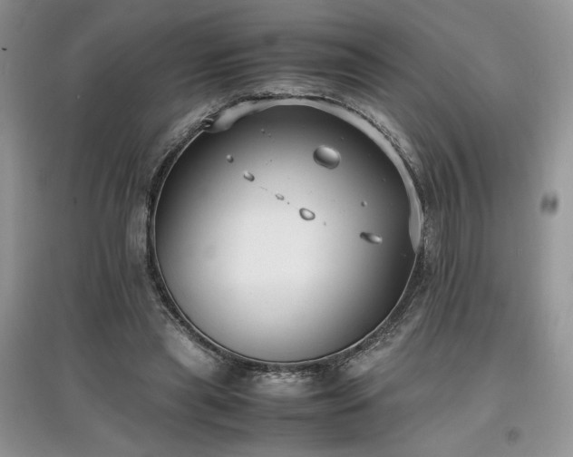 X0000097620445200803071513