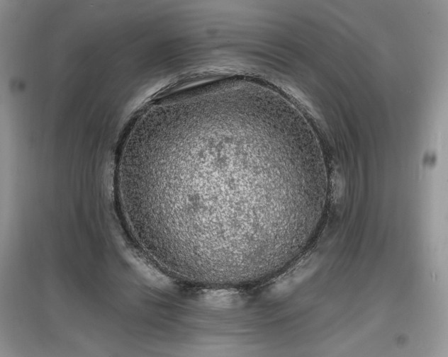 X0000097620446200803071513