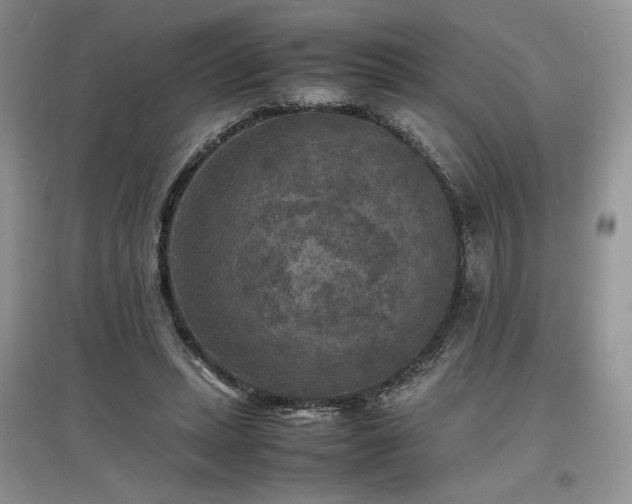 X0000097620447200803071513