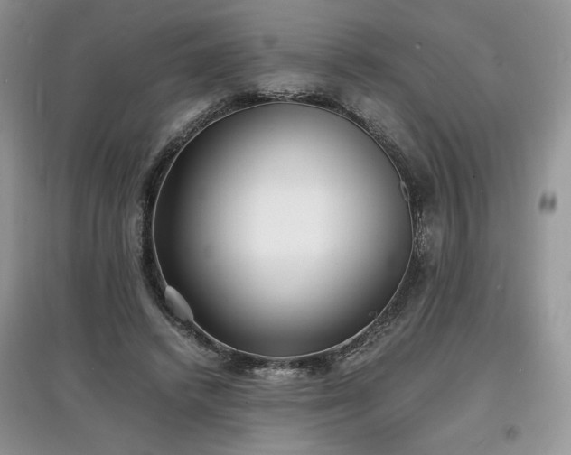 X0000097620448200803071513