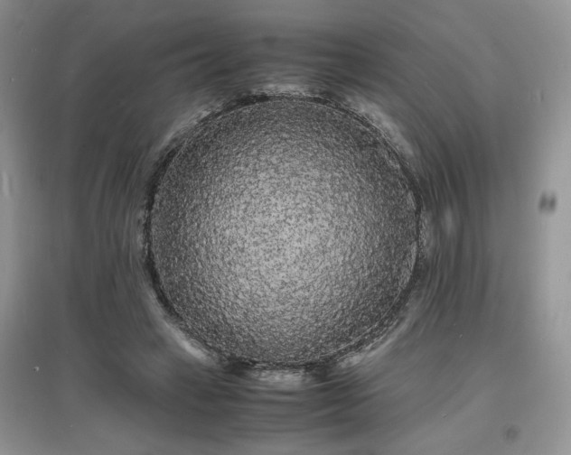 X0000097620449200803071513