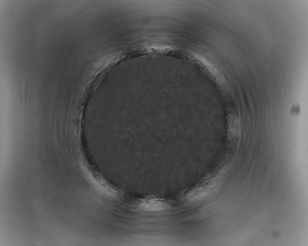 X0000097620451200803071513