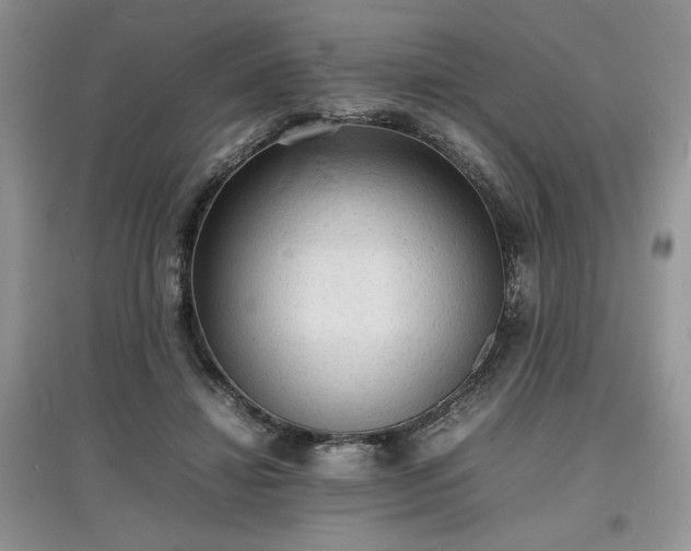 X0000097620452200803071513