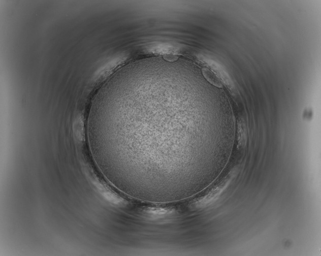 X0000097620453200803071513