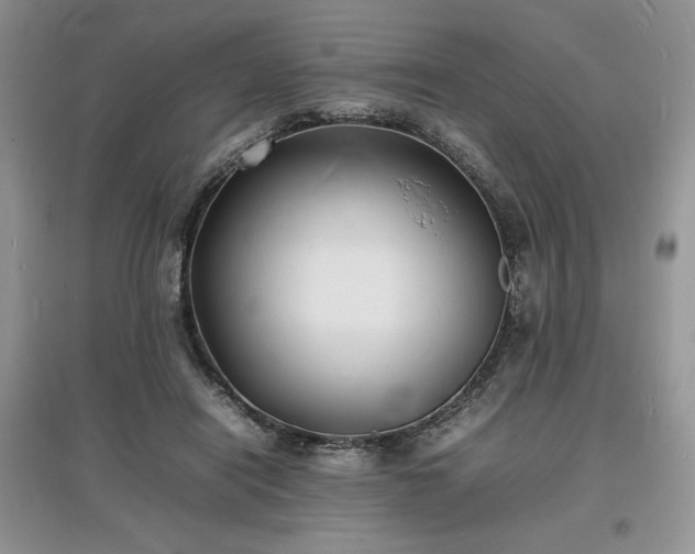 X0000097620454200803071513