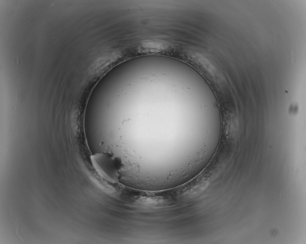 X0000097620455200803071513