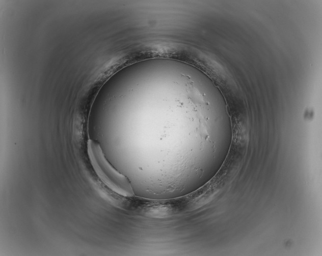 X0000097620456200803071513