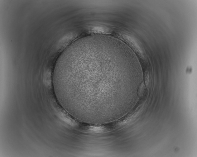 X0000097620457200803071513