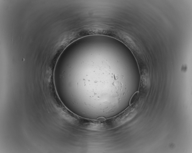 X0000097620458200803071513
