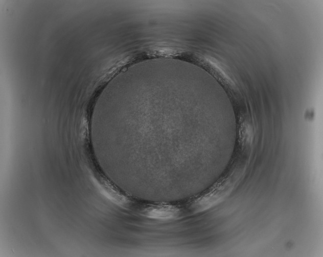 X0000097620459200803071514