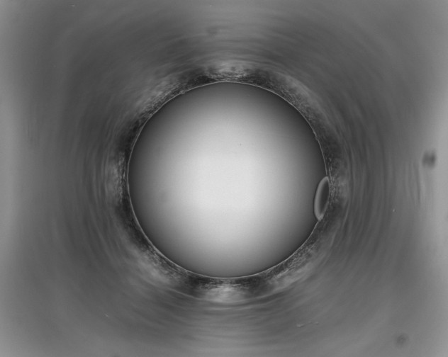 X0000097620460200803071514