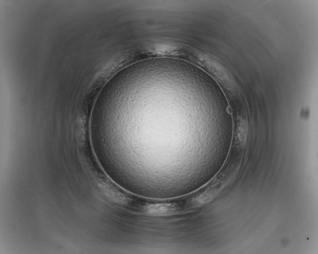 X0000097620461200803071514