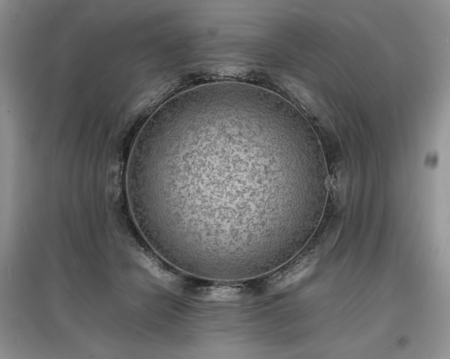 X0000097620462200803071514